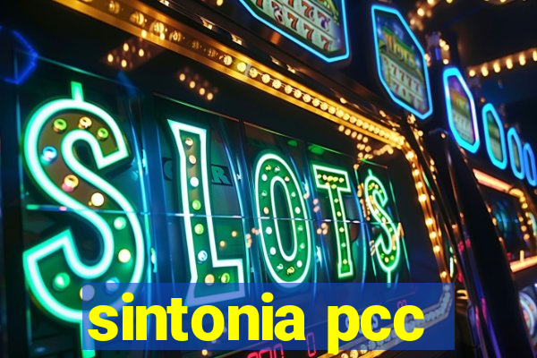 sintonia pcc